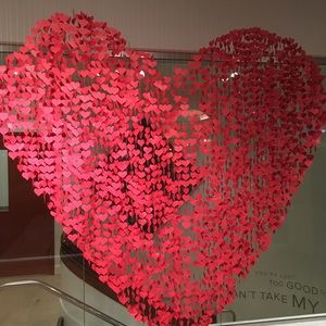 Meet your Posher, Willa